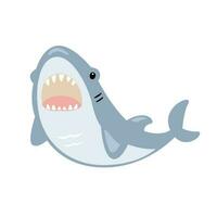 Cartoon sea shark bares its teeth, flat style illustration. vector