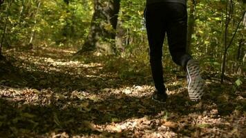 caucásico deportista tomando corto diario trotar en un bosque. lento movimiento imágenes. video