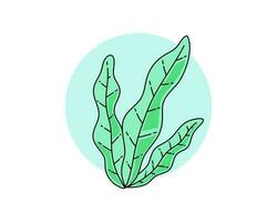 Seaweed illustration with cute style vector