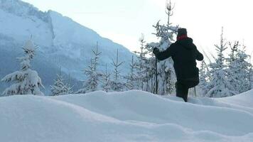 caucasien Hommes dans le sien 30s pendant nordique en marchant une randonnée sur une Montagne piste. lent mouvement images. video