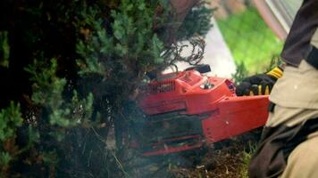 Hommes enlever jardin des arbres en utilisant de l'essence tronçonneuse video