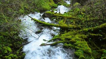 Oregon Columbia Gorge River Gorge Creek video