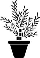 ilustración de ficus moclame planta glifo icono vector