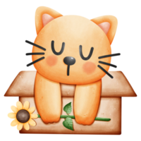 Cat in a box watercolor element png