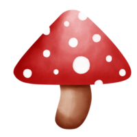 champignon vénéneux aquarelle élément png