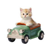 gatto uso bambini auto ai generato png
