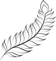 Boho style feather of peacock in Black and White color. vector