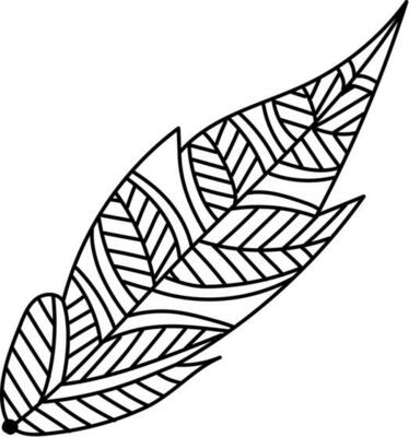 Black and white feather.