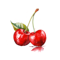 Cherry Watercolor Clipart png