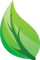 Vector illustration of green leaf icon.