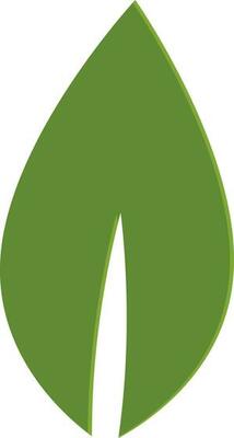 Flat style green leaf icon.