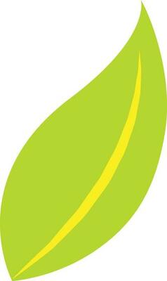 Flat style green leaf.