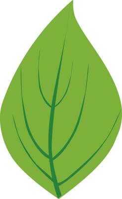 Green leaf icon in flat style.