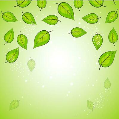 Nature background with green leaves.