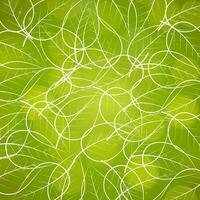 Nature background with leaves. vector