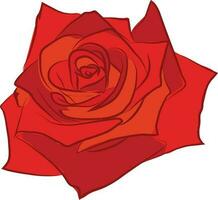 hermosa Rosa flor aislado en rojo color. vector