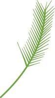 Illustration of a palm leaf. vector