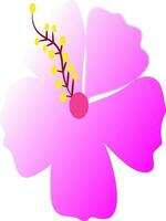 Paper on pink hibiscus flower beautiful color. vector