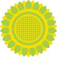 Green and yellow color of sunflower icon in illustration. vector