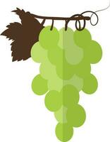 Illustration of grapes icon for agriculture in half shadow. vector