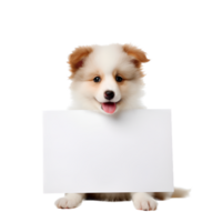 fofa cachorro segurando em branco placa clipart ai gerado png