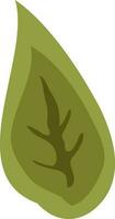 ilustración de un verde hoja. vector