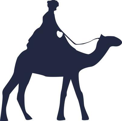 Silhouette of a man riding on camel.