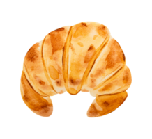 Croissant hand drawn watercolor png