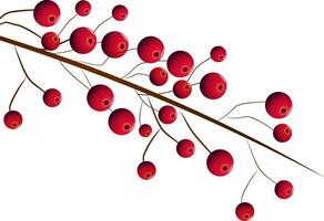 Red berry branch on white background. vector