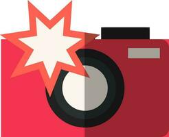 Camera with flash icon or symbol. vector