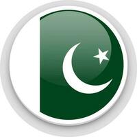 Isolated illustration of pakistan flag button. vector