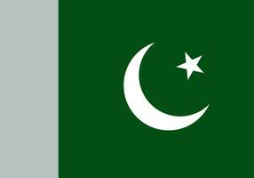 ilustración de Pakistán bandera. vector