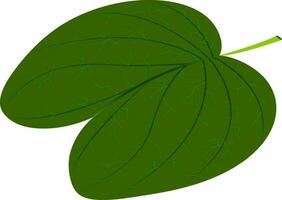 Flat illustration of green leaf. vector