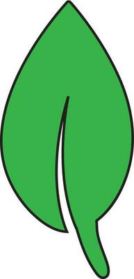 Flat style green leaf on white background.