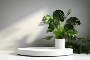 3d render empty space white terrazzo textured podium with monstera leaf house plant. Podium for product shoot. Illustration. photo