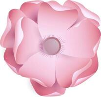 Realistic pink flower on white background. vector