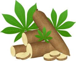 Cassava tree plant, we love tapioca, manioc cassava roots underground plants, cassava plantation, Vector