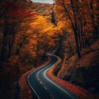 otoño bosque la carretera. ilustración ai generativo foto