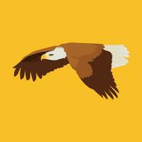 Eagles fly in the sky illustration vector. vector