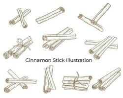 Cinnamon Stick Line Art for Food Label vector