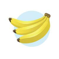 plátano frutas vector ilustración