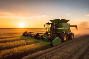 harvester is at work during harvest time in a vast wheat field. The golden hour light creates a beautiful contrast between the golden wheat and the blue sky, photo