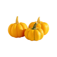 a group of whole ripe pumpkins isolated on transparent background. clipping path. png