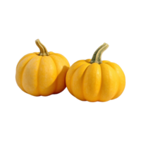 a group of whole ripe pumpkins isolated on transparent background. clipping path. png