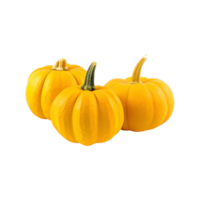 a group of whole ripe pumpkins isolated on transparent background. clipping path. png