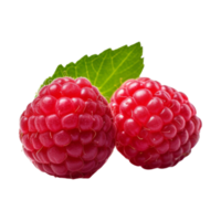 Fresh ripe raspberries with leaves isolated on transparent background. png