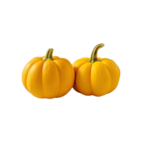 a group of whole ripe pumpkins isolated on transparent background. clipping path. png