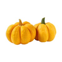 a group of whole ripe pumpkins isolated on transparent background. clipping path. png