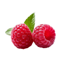 Fresh ripe raspberries with leaves isolated on transparent background. png