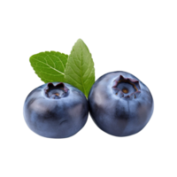 Fresh ripe blueberries isolated on transparent background png